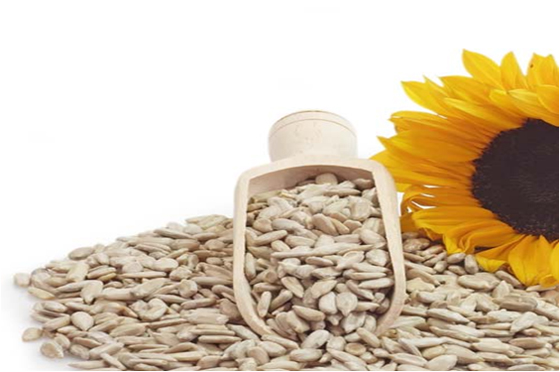 保加利亞無殼葵花籽（烘焙...