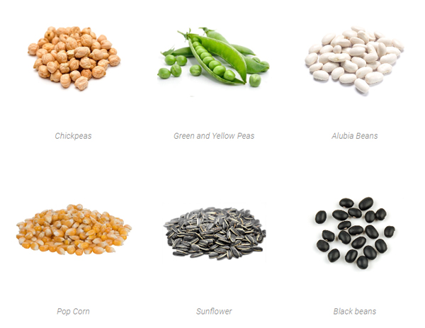 阿根廷豆類、玉米等農(nóng)產(chǎn)品...