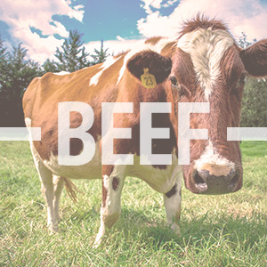 愛爾蘭牛肉、羊肉、家禽、...