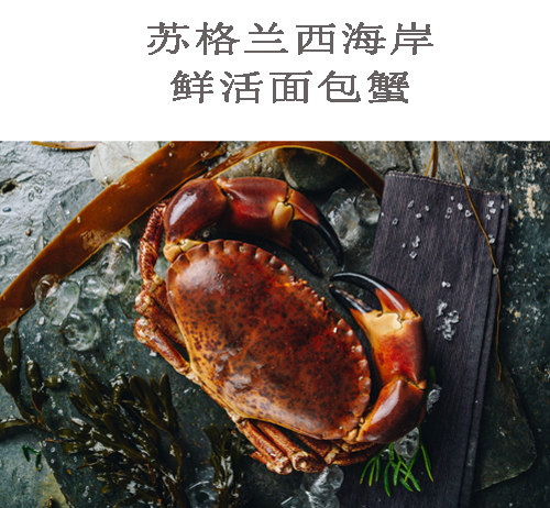 英國蘇格蘭西海岸鮮活面包...