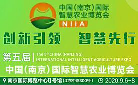 2020年第五屆中國（南...