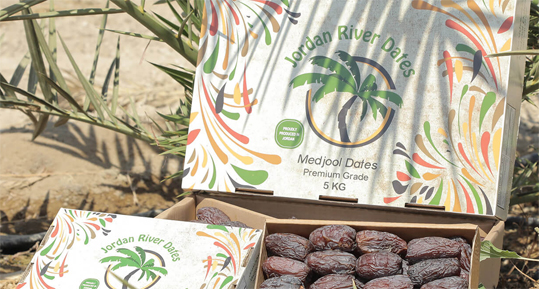 約旦甜蜜椰棗（ Medj...