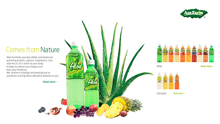 韓國Ace Farm 蘆...