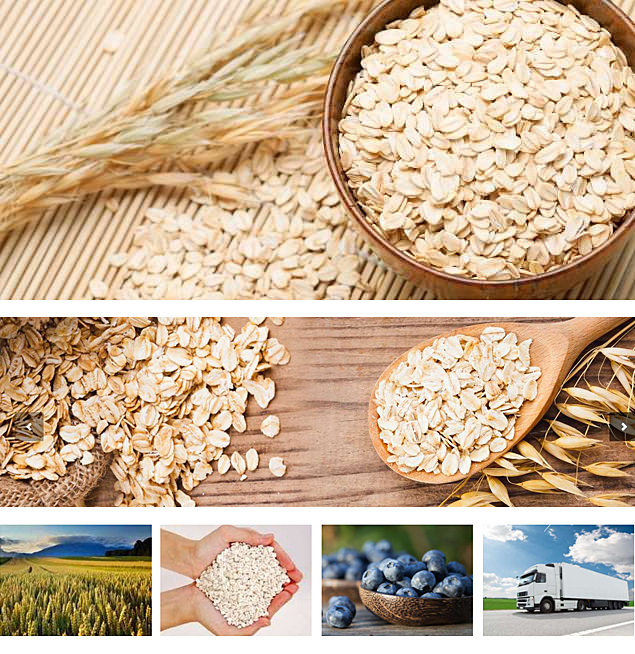 土庫(kù)曼斯坦麥片和藍(lán)莓