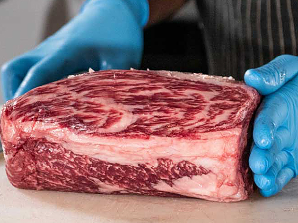 南非高品質(zhì)和牛肉