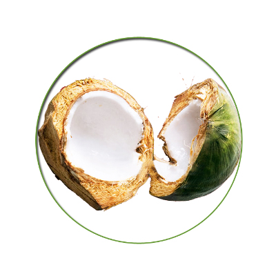 菲律賓椰肉(大包裝，椰肉塊和椰絲)