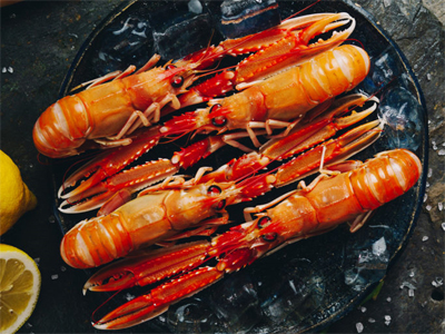 英國蘇格蘭冷凍挪威海鰲蝦...